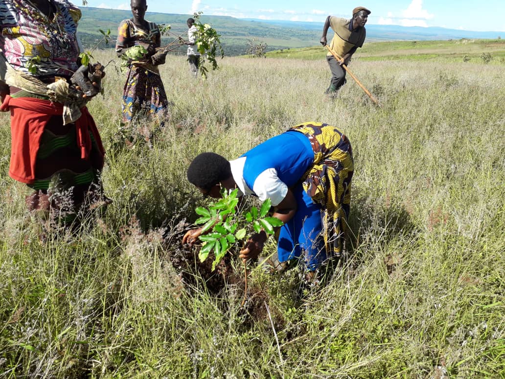 Maoni Ya Mwana-Buhigwe Na Ustawi Wa Kigoma